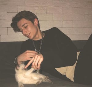 Ảnh đại diện người dùng Mai